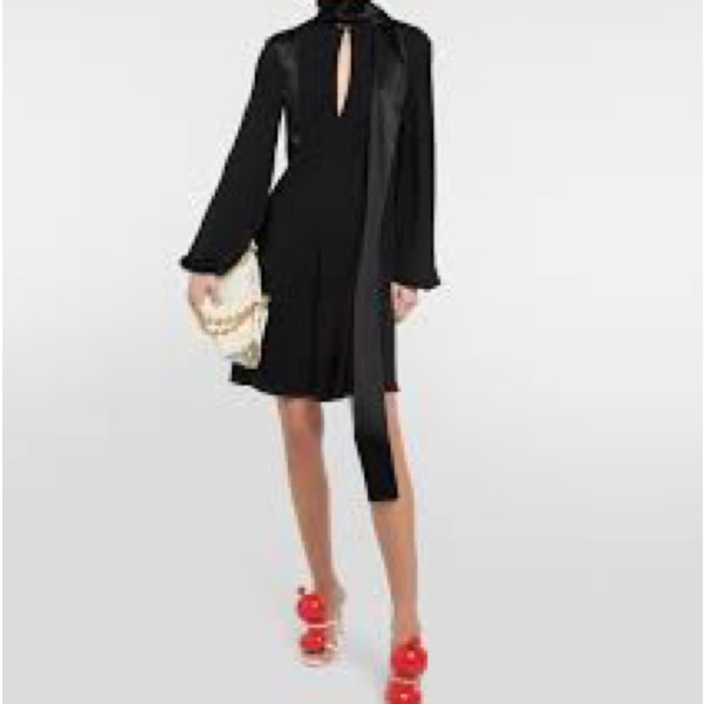 Loewe Black Long Sleeve Dress